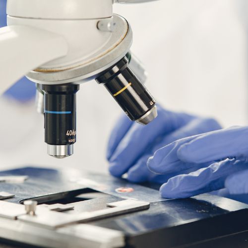 LAVORATORI SETTORE TECNOLOGICO